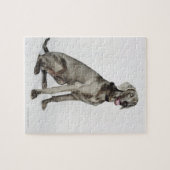 Portrait des Weimaraner Hundes Puzzle (Horizontal)
