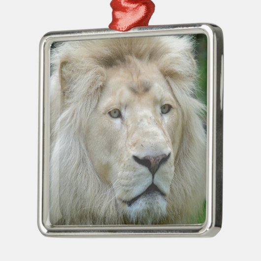 Portrait des weißen Löwen Ornament Aus Metall (Links)