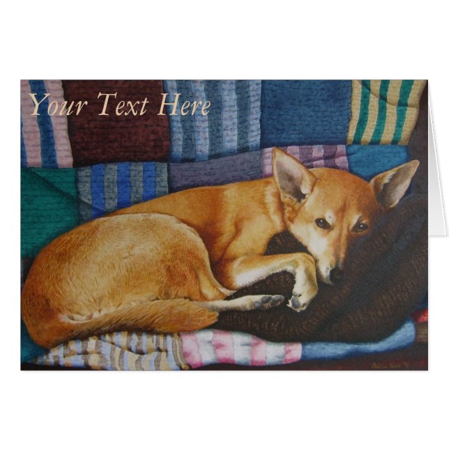 Portrait deutscher Hirtenlabrador gemischte Rasse (Vorderseite (Horizontal))