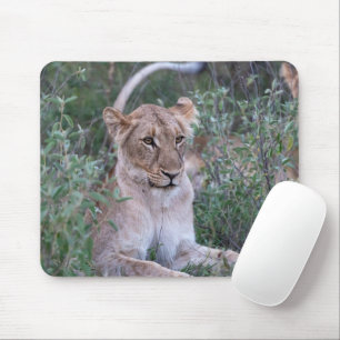 Portrait "Die Lioness Afrikanische Wildtiere" Mousepad