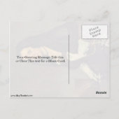 Portrait einer Dame mit einem Ventilator von Diego Postkarte (Rückseite)