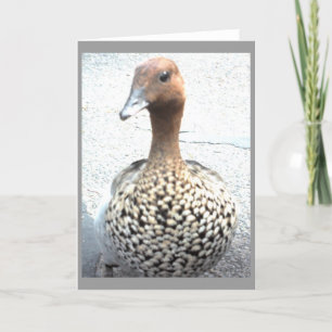 Portrait einer Duckergrütkarte Karte