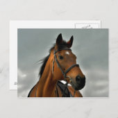 Portrait einer durchsichtigen Bucht Postkarte (Vorne/Hinten)