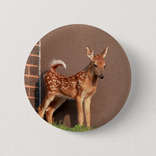 Portrait einer Faune (Weißschwanzhirsche) Button (Vorderseite)