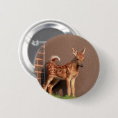 Portrait einer Faune (Weißschwanzhirsche) Button (Vorne & Hinten)