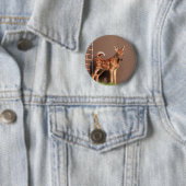 Portrait einer Faune (Weißschwanzhirsche) Button (Beispiel)