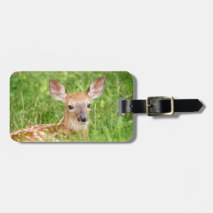 Portrait einer Faune (Weißschwanzhirsche) Gepäckanhänger
