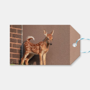 Portrait einer Faune (Weißschwanzhirsche) Geschenkanhänger