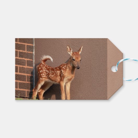 Portrait einer Faune (Weißschwanzhirsche) Geschenkanhänger (Vorderseite (Horizontal))