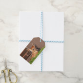 Portrait einer Faune (Weißschwanzhirsche) Geschenkanhänger (Mit Garn)
