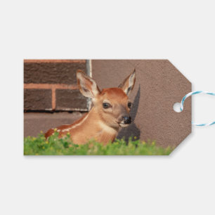 Portrait einer Faune (Weißschwanzhirsche) Geschenkanhänger