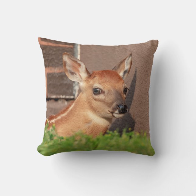 Portrait einer Faune (Weißschwanzhirsche) Kissen (Vorderseite)