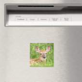 Portrait einer Faune (Weißschwanzhirsche) Magnet (In Situ (Geschirrspüler))