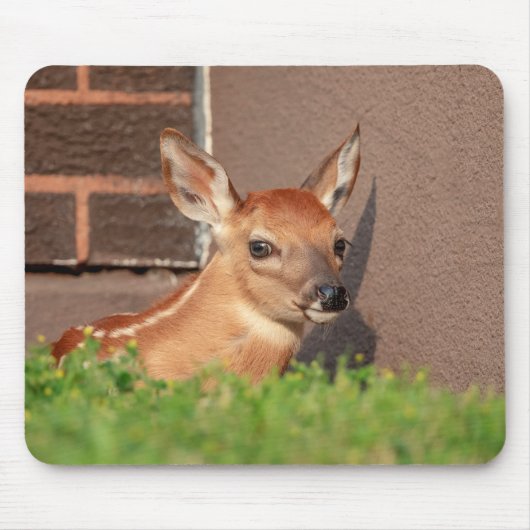 Portrait einer Faune (Weißschwanzhirsche) Mousepad (Vorne)