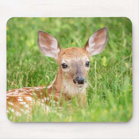 Portrait einer Faune (Weißschwanzhirsche) Mousepad (Vorne)