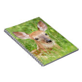 Portrait einer Faune (Weißschwanzhirsche) Notizblock (Rechte Seite)