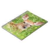 Portrait einer Faune (Weißschwanzhirsche) Notizblock (Linke Seite)