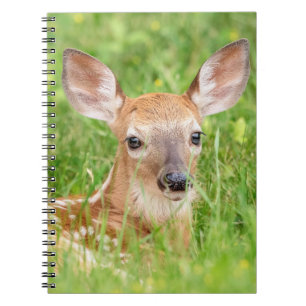 Portrait einer Faune (Weißschwanzhirsche) Notizblock