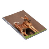 Portrait einer Faune (Weißschwanzhirsche) Notizblock (Rechte Seite)