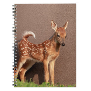 Portrait einer Faune (Weißschwanzhirsche) Notizblock