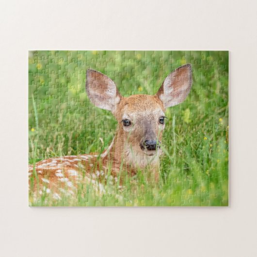 Portrait einer Faune (Weißschwanzhirsche) Puzzle (Horizontal)