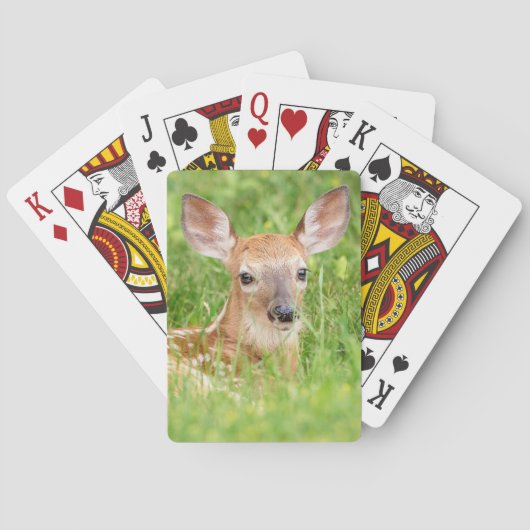 Portrait einer Faune (Weißschwanzhirsche) Spielkarten (Rückseite)