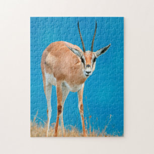 Portrait einer Grant-Gazelle (Gazella Granti) Puzzle