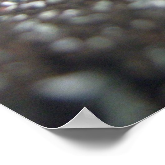 Portrait einer Honigbiene Poster (Ecke)