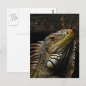 Portrait einer Iguana Postkarte (Vorne/Hinten)