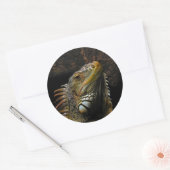 Portrait einer Iguana Runder Aufkleber (Umschlag)