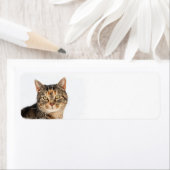 Portrait einer Katze (Insitu)