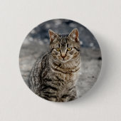 Portrait einer Katze Button (Vorderseite)