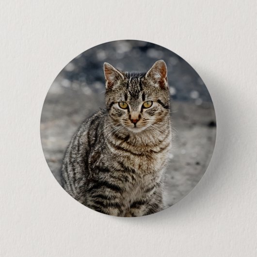 Portrait einer Katze Button (Vorderseite)