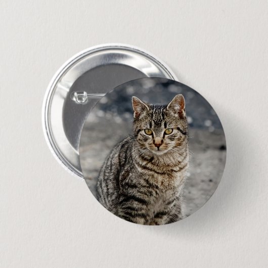Portrait einer Katze Button (Vorne & Hinten)