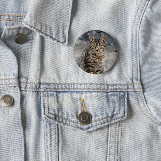 Portrait einer Katze Button (Beispiel)