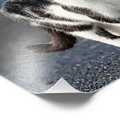 Portrait einer Katze Fotodruck (Ecke)