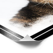 Portrait einer Katze Fotodruck (Ecke)