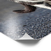 Portrait einer Katze Fotodruck (Ecke)