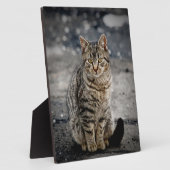 Portrait einer Katze Fotoplatte (Seite)