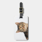 Portrait einer Katze Gepäckanhänger (Vorderseite vertikal)