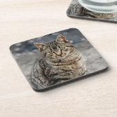 Portrait einer Katze Getränkeuntersetzer (Linke Seite)