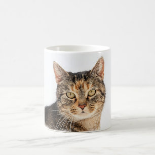 Portrait einer Katze Kaffeetasse