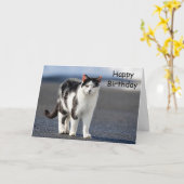 Portrait einer Katze Karte (Gelbe Blume)