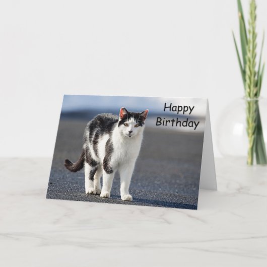 Portrait einer Katze Karte (Vorderseite)