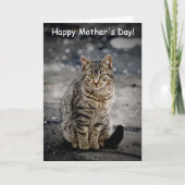 Portrait einer Katze Karte (Vorderseite)