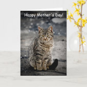 Portrait einer Katze Karte (Gelbe Blume)