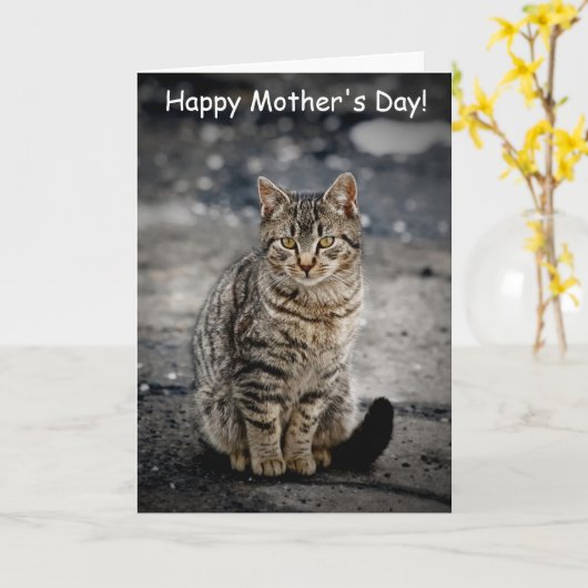 Portrait einer Katze Karte (Gelbe Blume)