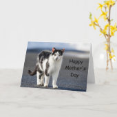 Portrait einer Katze Karte (Gelbe Blume)