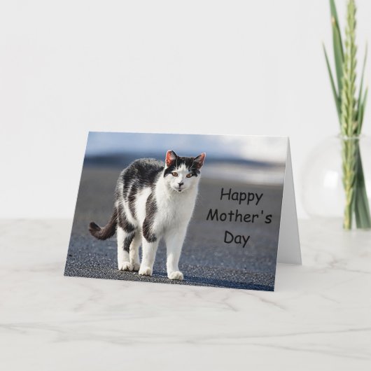 Portrait einer Katze Karte (Vorderseite)