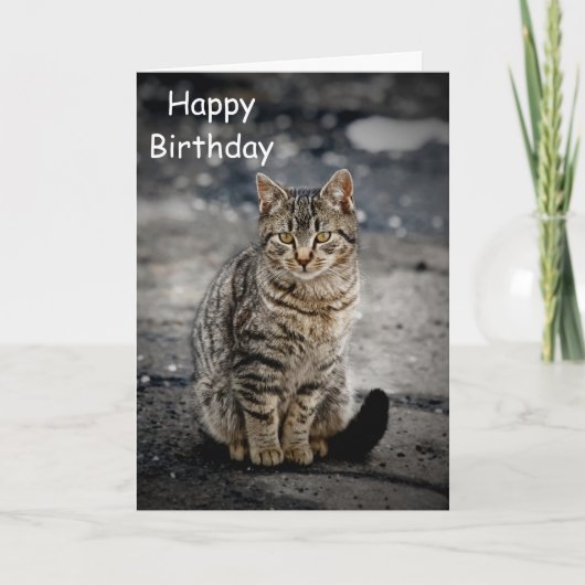 Portrait einer Katze Karte (Vorderseite)